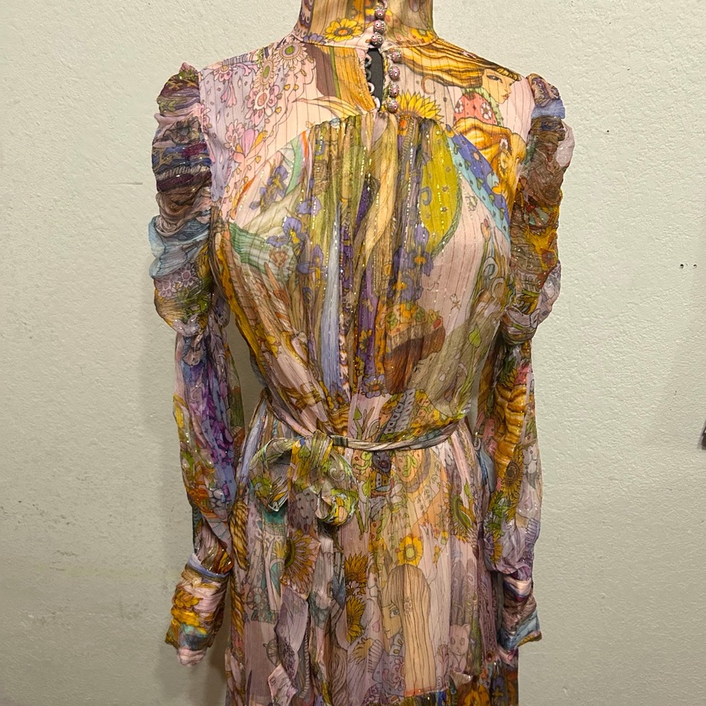 Zimmermann Gathered printed silk crepon gown